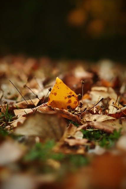 现役中超亚冠最强球队，不是泰山队，沪媒：非海港莫属，数据不会说谎