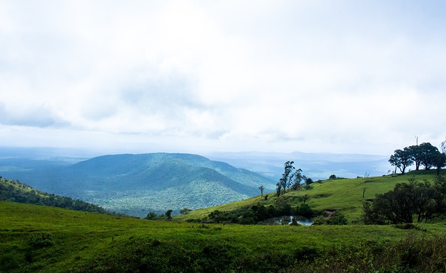 替补球员上场直接送出助攻，全场惊讶