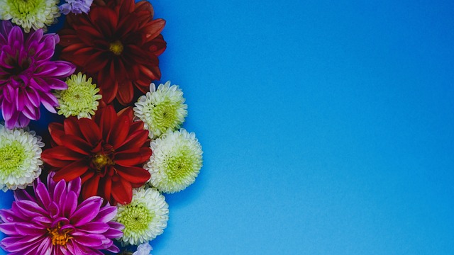 欧联前瞻：乌德勒支一胜难求命悬一线，诺丁汉森林有望进前八